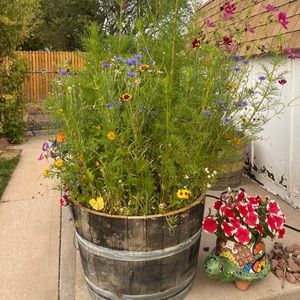 Meet your Posher, Tara